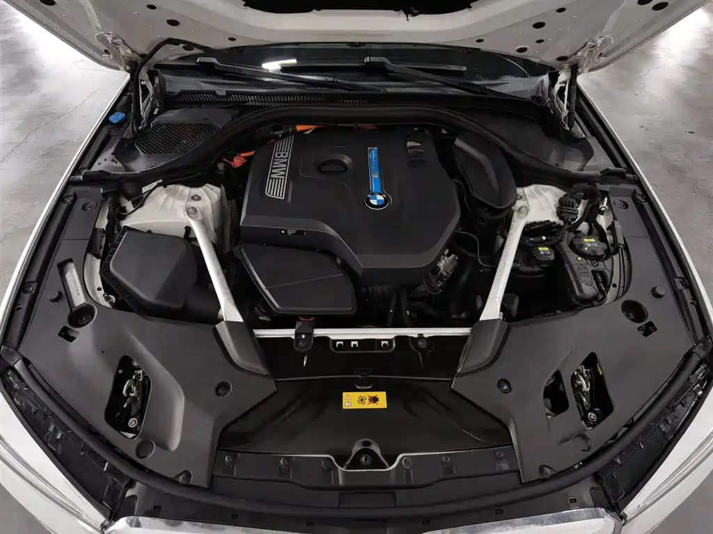 BMW 5 Series New Energy 2019 530Le Luxury Package фото 6