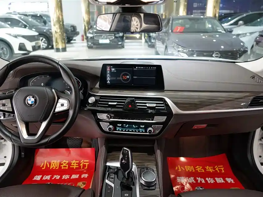 BMW 5 Series 2020 530Li Premium Luxury Package фото 4