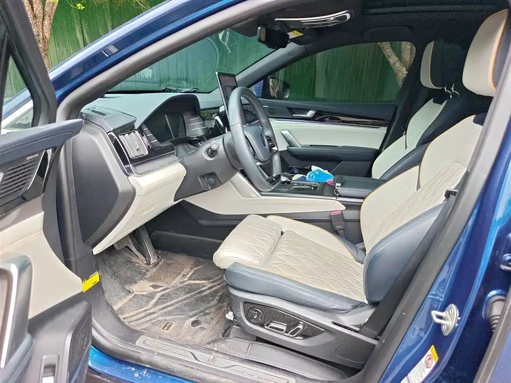 BYD Tang New Energy 2022 EV 635KM AWD Flagship фото 14