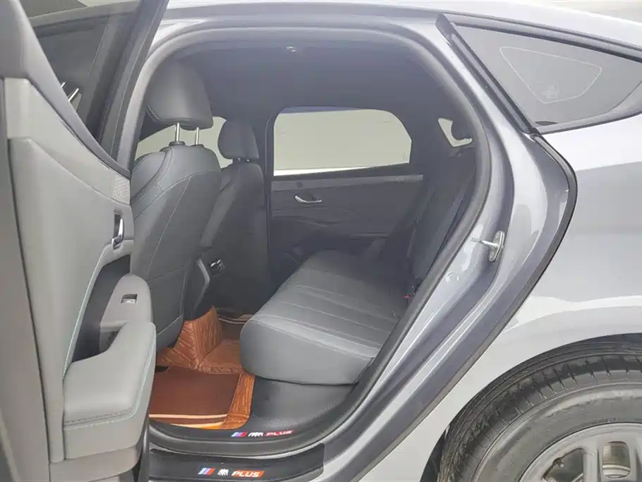 BYD Qin PLUS 2025 DM-i Smart Drive 55KM Leader фото 11