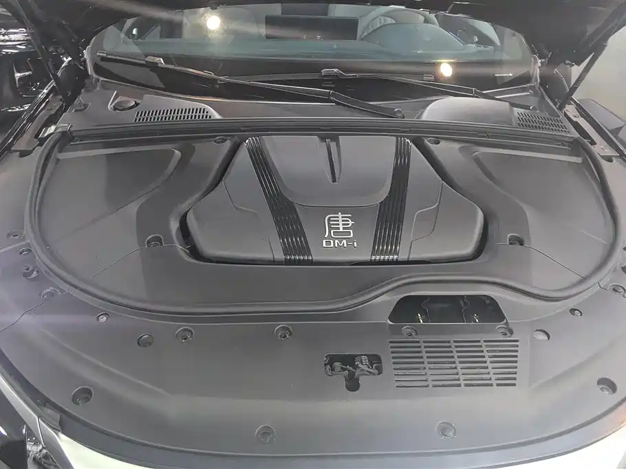 BYD Tang New Energy 2024 DM-i Honor Edition 112KM Premium фото 10