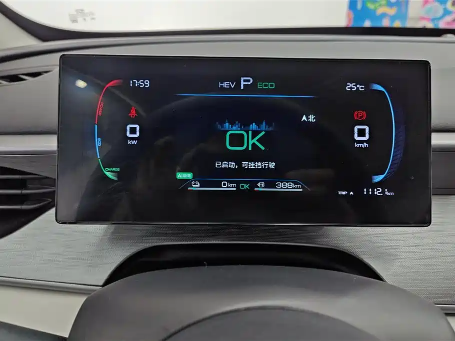BYD Hai Bao 05 DM-i 2025 DM-i Smart Drive Edition 55KM Luxury фото 14