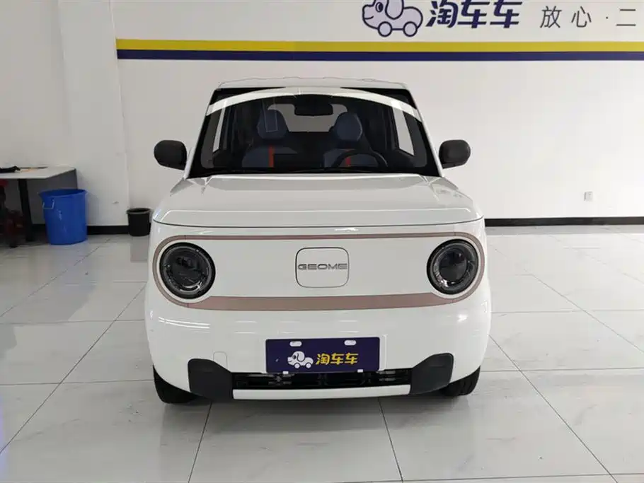 Geely Galaxy Panda 2023 Panda Mini 200km Endurance Bear фото 2