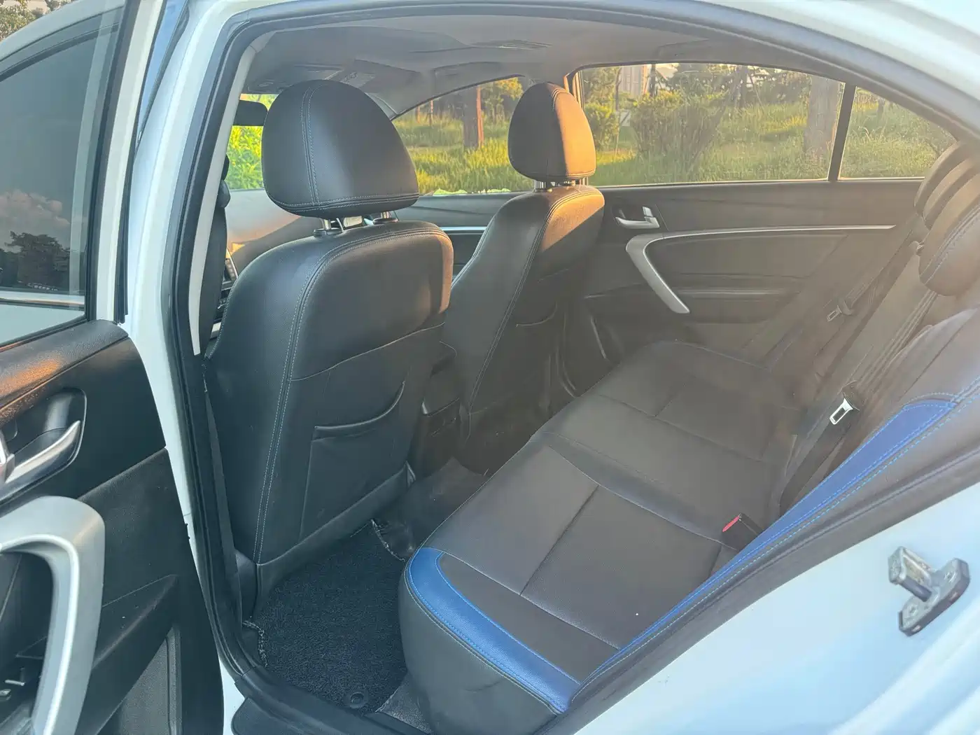 Geely Emgrand New Energy 2018 2017 EV300 Elite