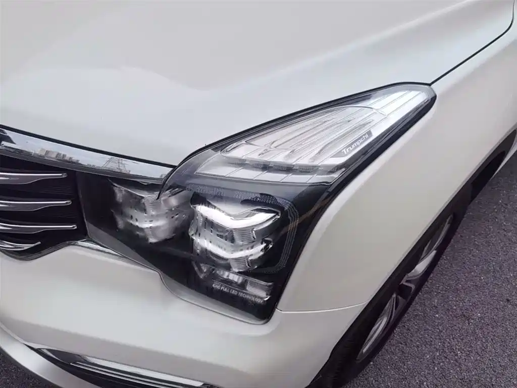 GAC Trumpchi Trumpchi GS8 2017 320T 2WD Luxury Smart Connect (7-seater) фото 24