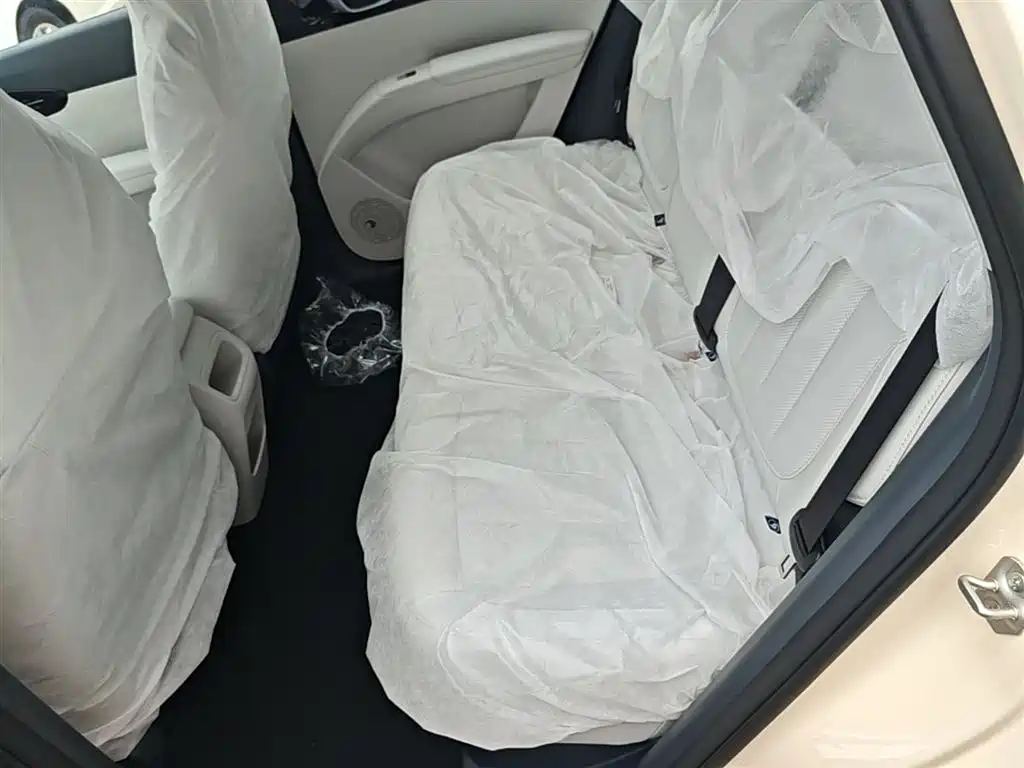 Geely Galaxy Starry Wish 2026 Edition 310km Youth Version фото 17