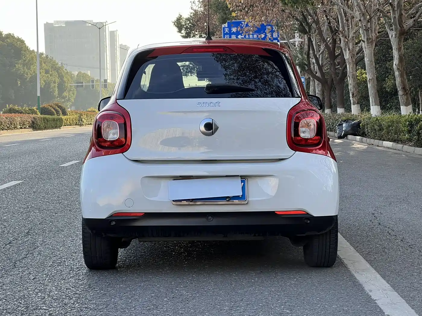 Фото 11 - smart forfour