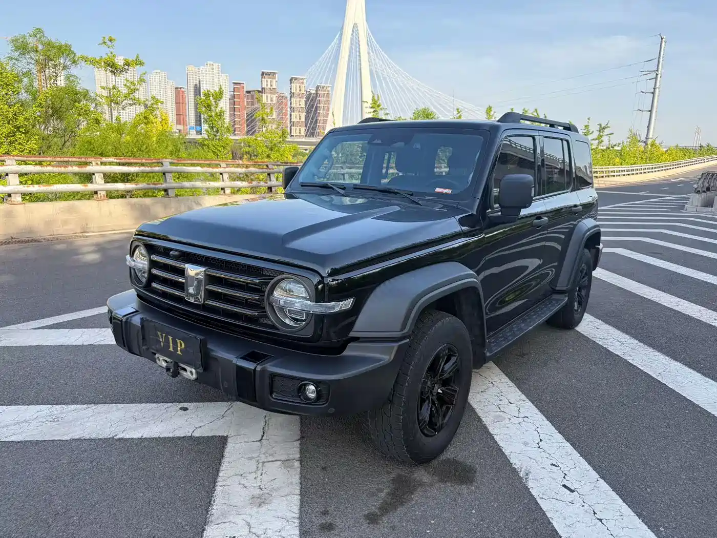 Tank 300 2021 Off-road Version 2.0T Conqueror