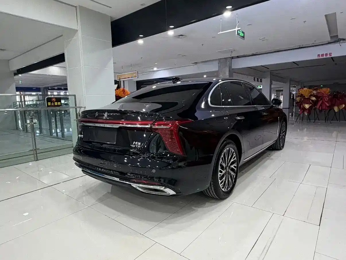 Hongqi H5 2025 2.0T Automatic Flag Celebration 500,000 Units Anniversary Edition фото 6