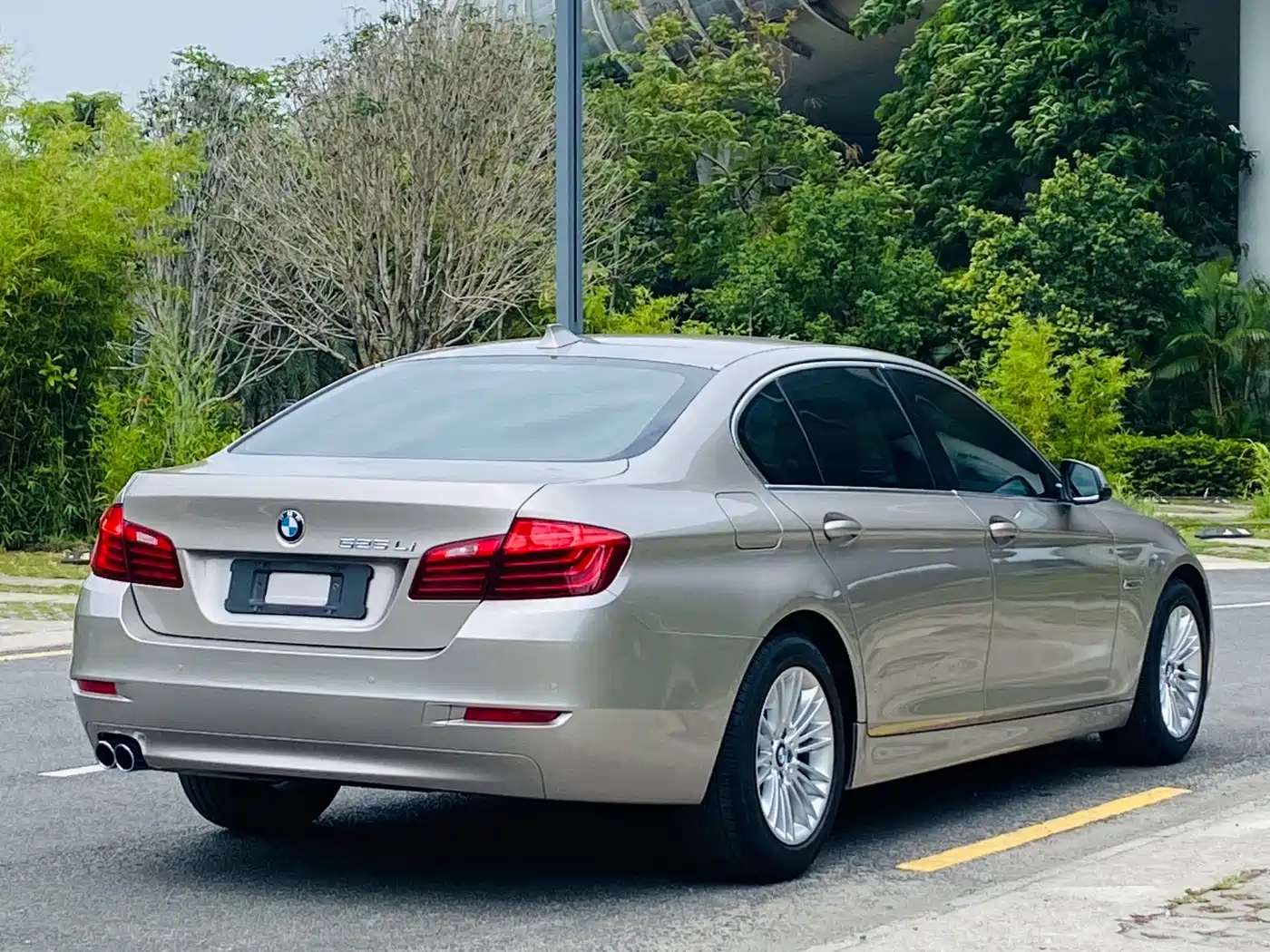 BMW 5 Series 2014 525Li Leading фото 7