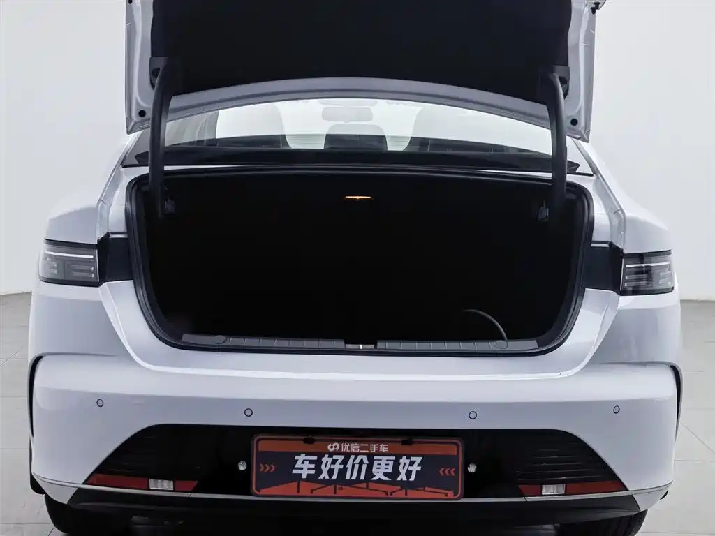BYD Destroyer 05 2024 Glory Edition DM-i 55KM Luxury фото 16