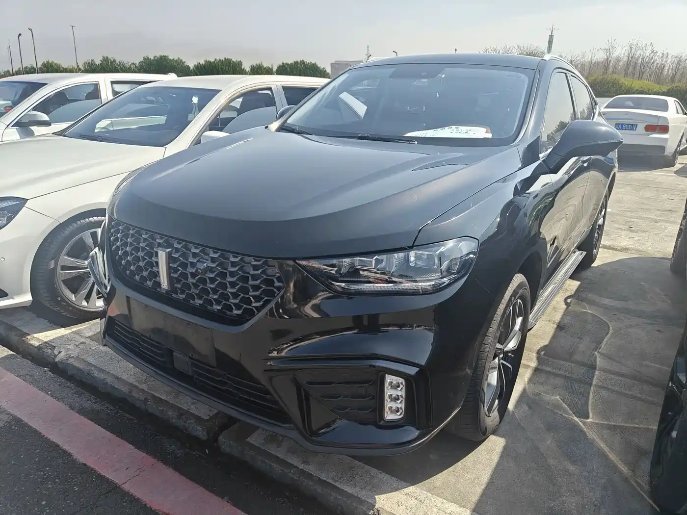 WEI PAI WEI BRAND VV5