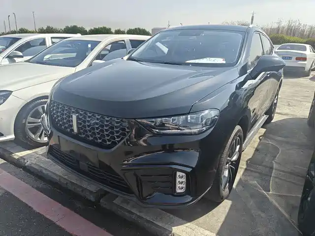 wei-pai wei-brand-vv5