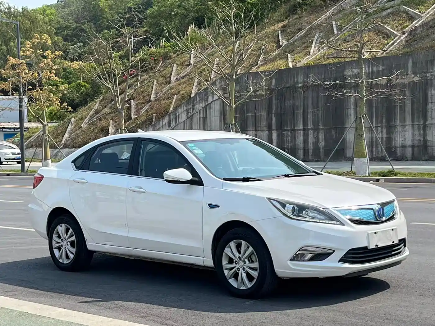 CHANGAN YIDONG NEW ENERGY