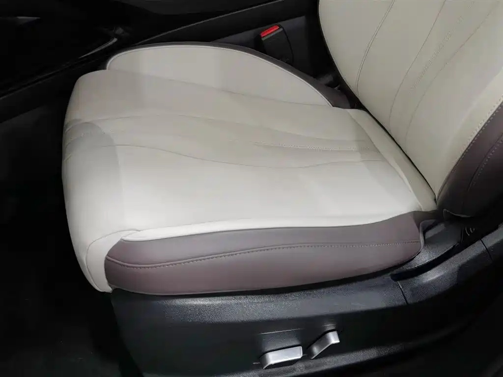 BYD Song PLUS PHEV 2025 EV 520km Luxury фото 20