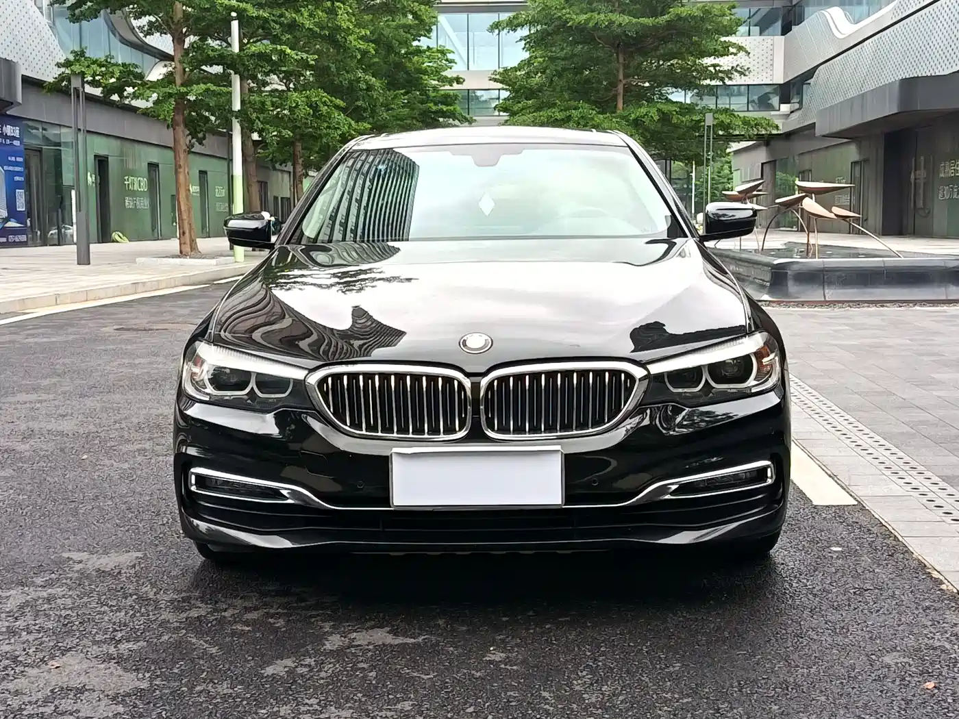 BMW 5 Series 2019 530Li Leading Luxury Package фото 2