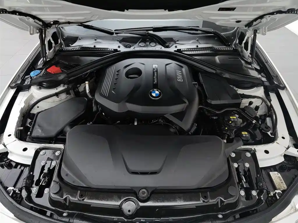 BMW 3 Series 2018 320Li xDrive Fashion Style фото 6