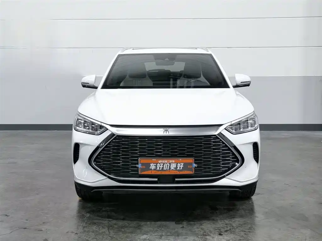 BYD Song PLUS PHEV 2021 DM-i 51KM Honor фото 3