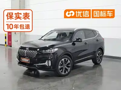 Wey VV6