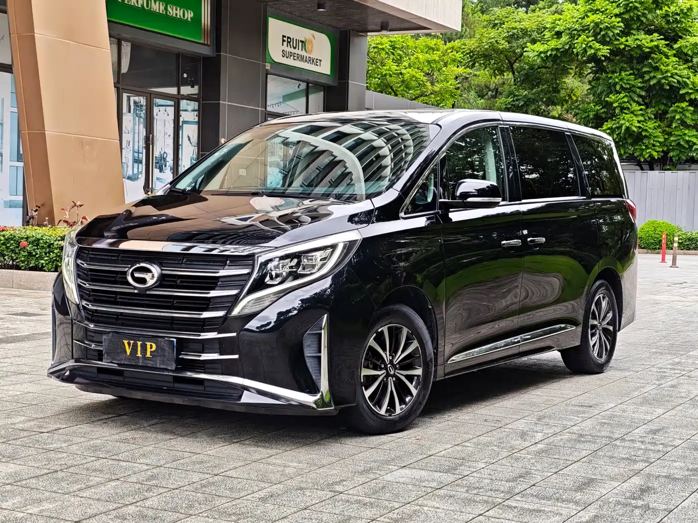 GAC Trumpchi Trumpchi M8 2023 Leading Series 390T Premium Edition