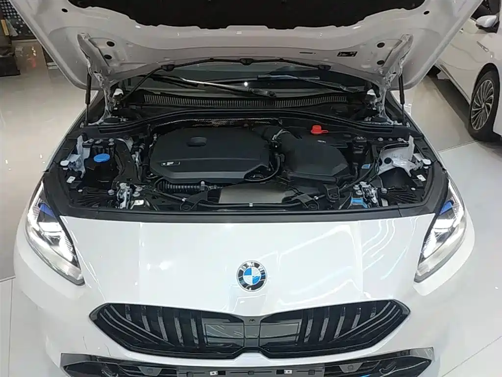 BMW 2 Series 2025 225L M Sport Moonlight Package фото 20