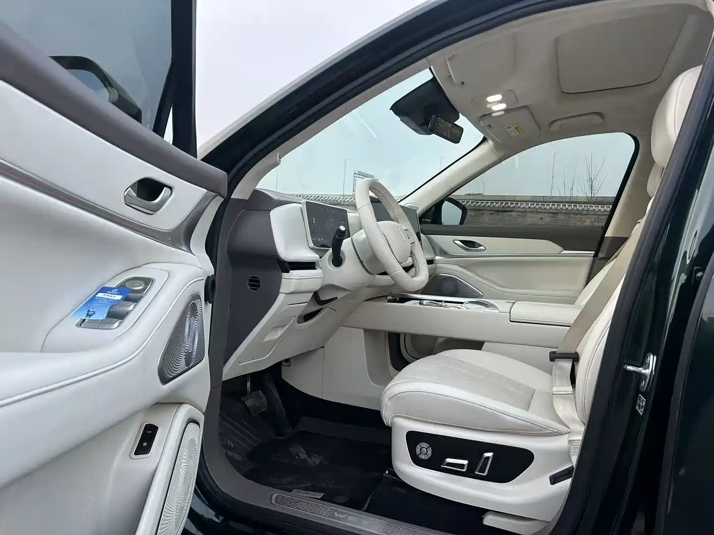 WEI PAI WEI BRAND BLUE MOUNTAIN