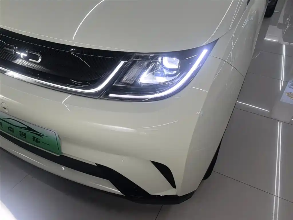 BYD Dolphin 2025 420km Freedom Edition фото 18