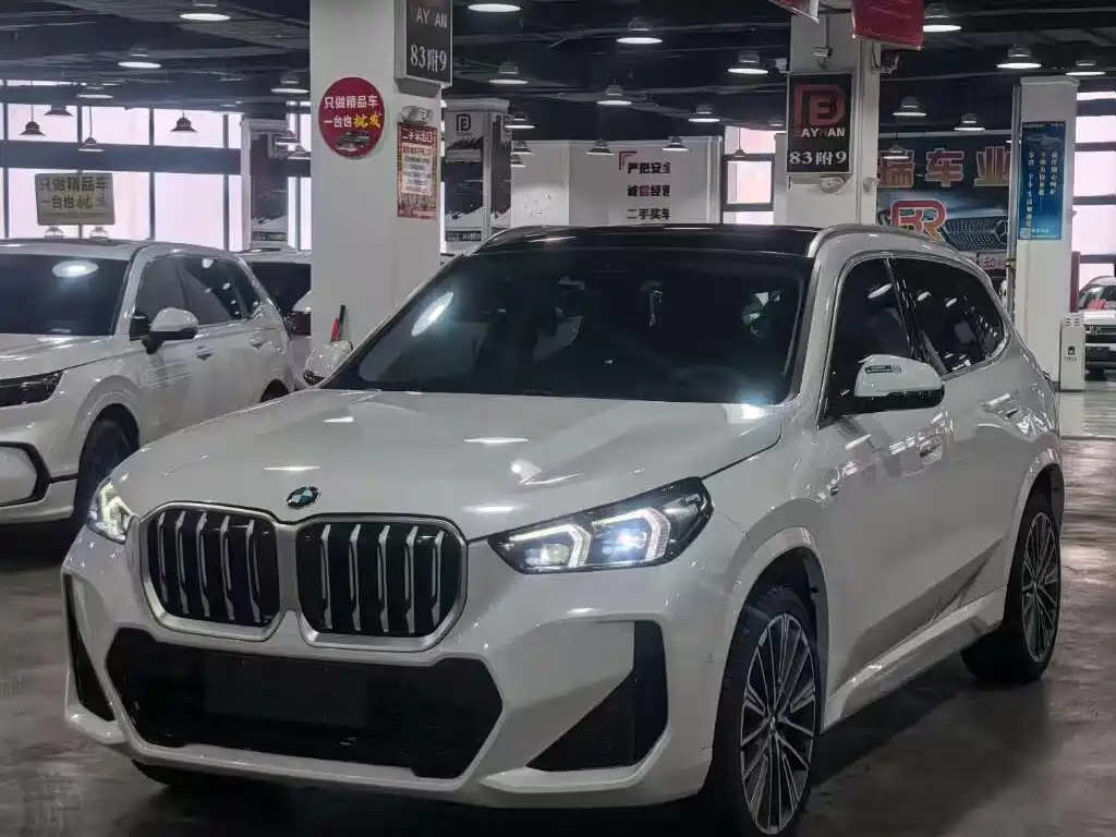 BMW X1 2025 xDrive25Li M Sport Black Package фото 2