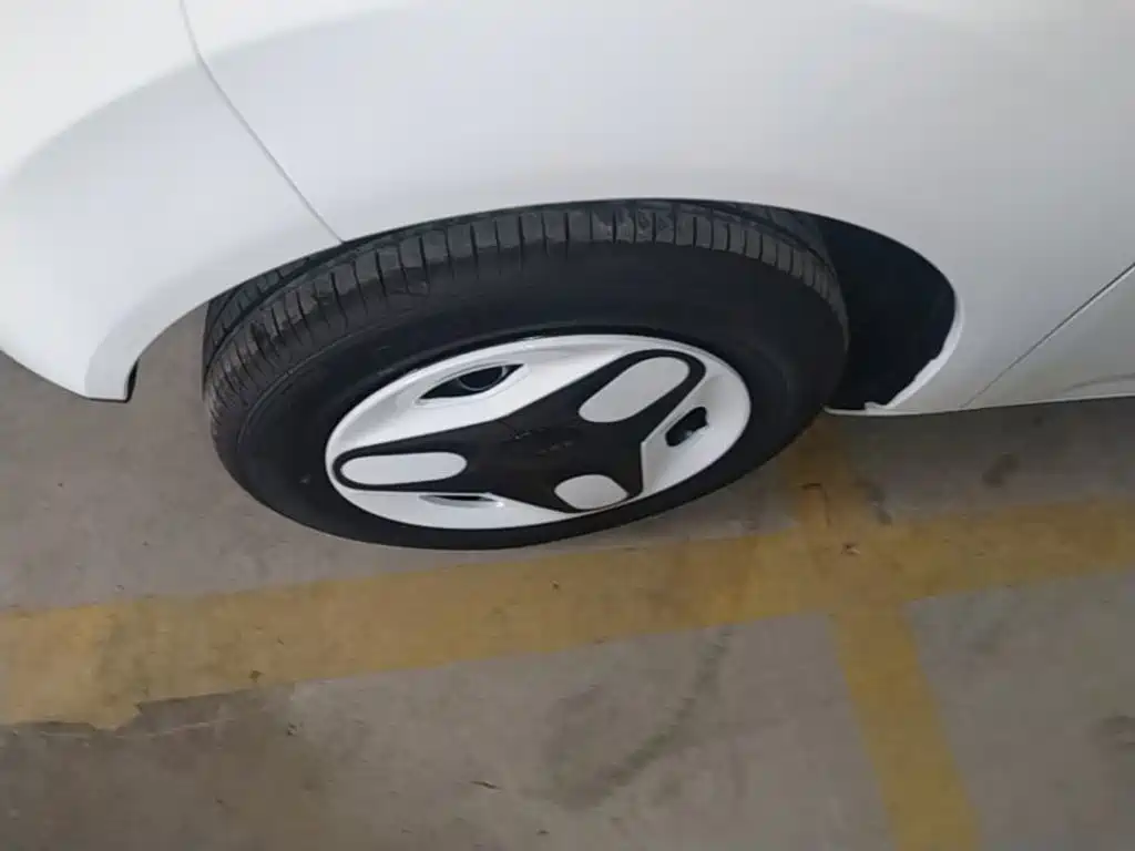 Geely Galaxy Panda 2026 2025 Panda mini 210km Vitality Bear