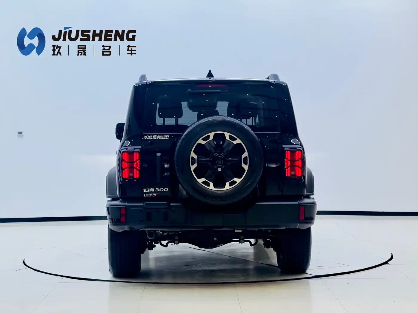 TANK TANK 300 NEW ENERGY