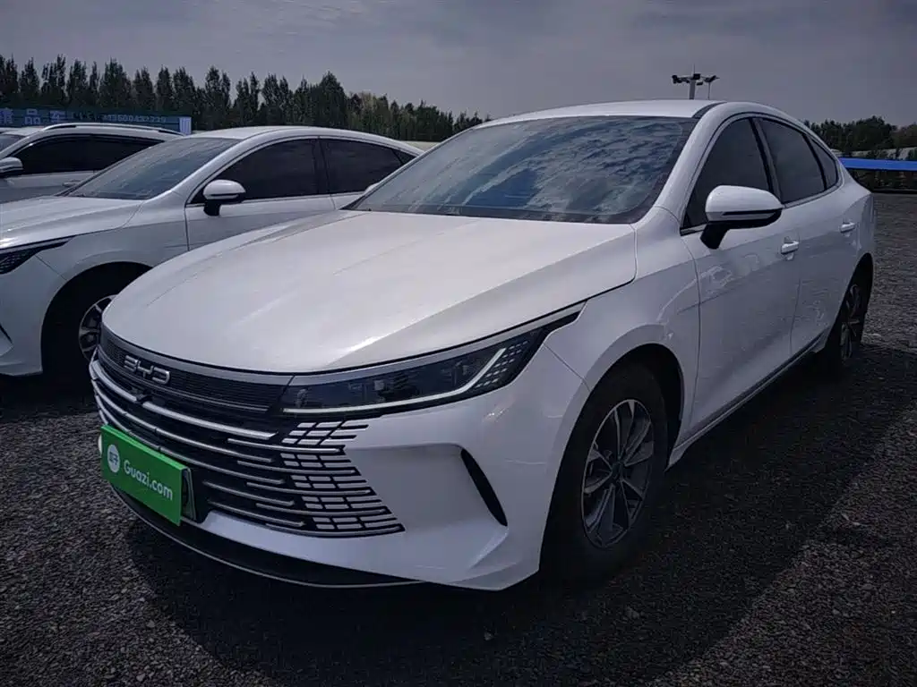 BYD Destroyer 05 2024 Glory Edition DM-i 55KM Luxury