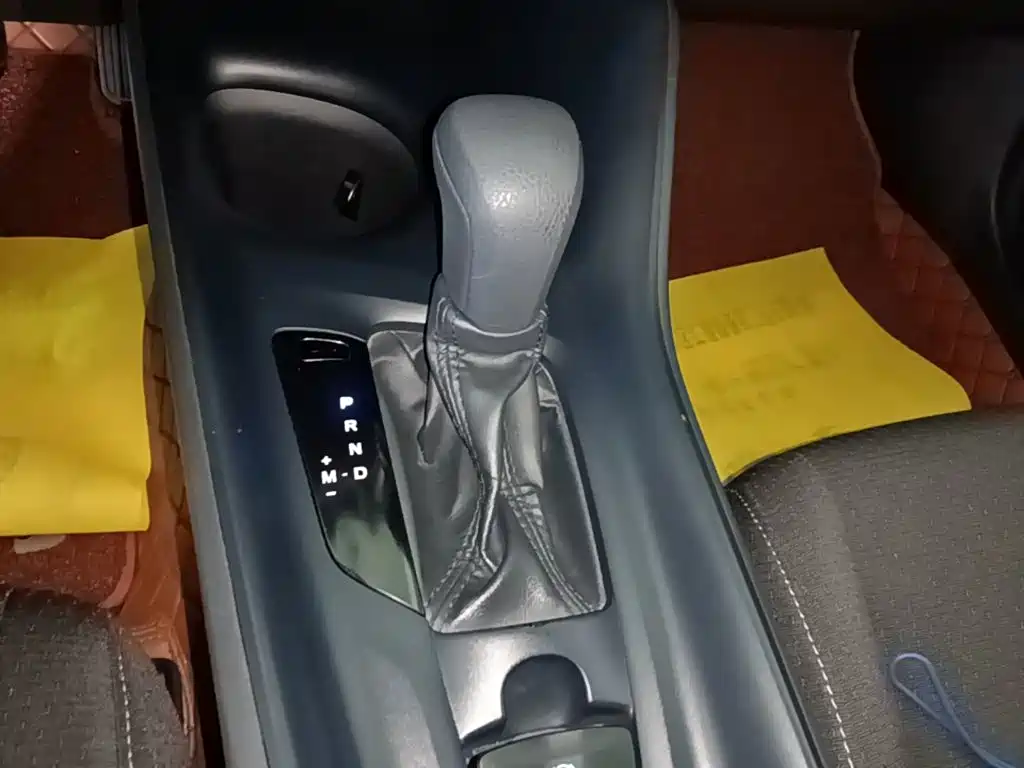 Toyota IZOA 2021 2021 2.0L Yixing Edition