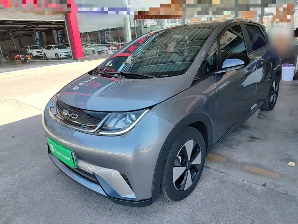 Фото 1 - BYD Dolphin
