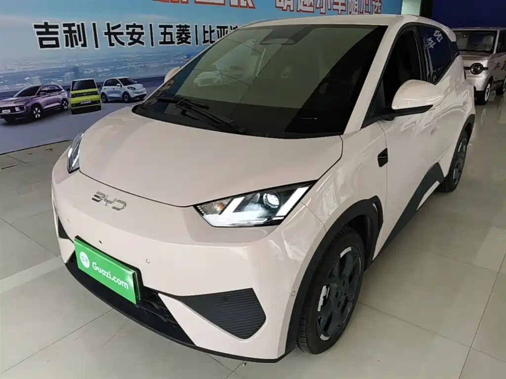 BYD Seagull 2025 Smart Drive Edition 305km Freedom Version