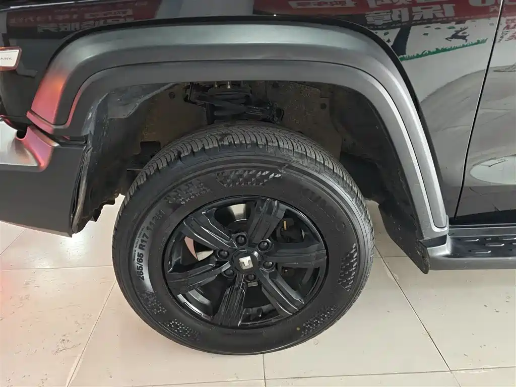 Tank 300 2021 Off-road Version 2.0T Conqueror фото 23