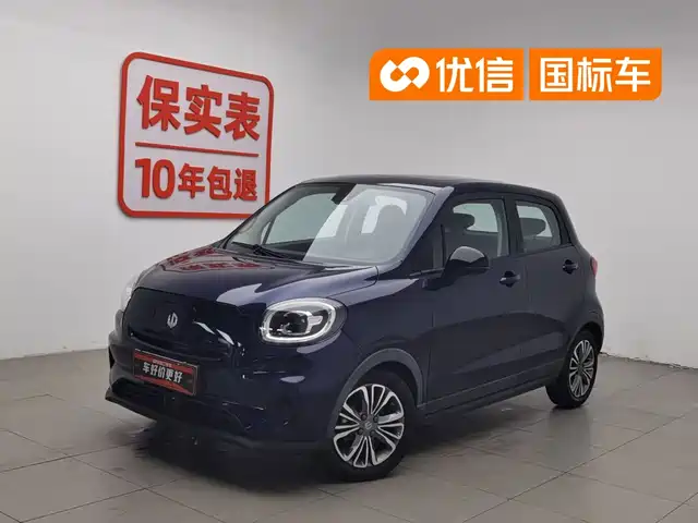 Leapmotor Leapmotor T03 2021 400 Luxury Edition
