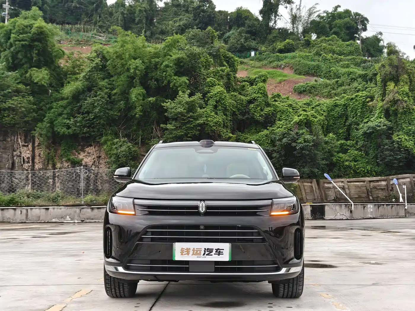 AITO Wenjie AITO M7 2024 Model 1.5T Smart Drive RWD Max 5-Seater фото 2