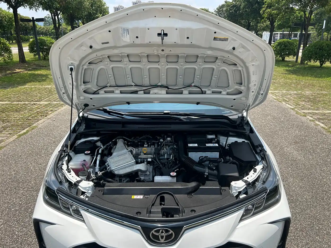 Toyota Corolla 2023 1.2T Pioneer Edition фото 15
