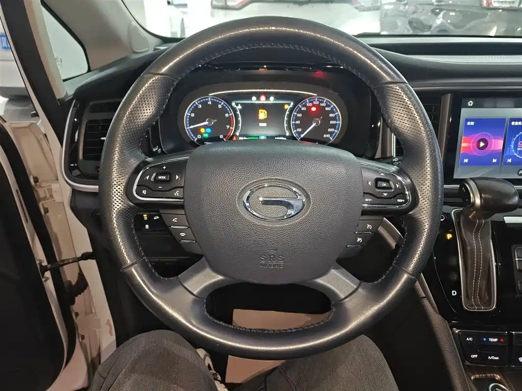 GAC Trumpchi Trumpchi M8 2020 Pilot 390T Premium Edition фото 11
