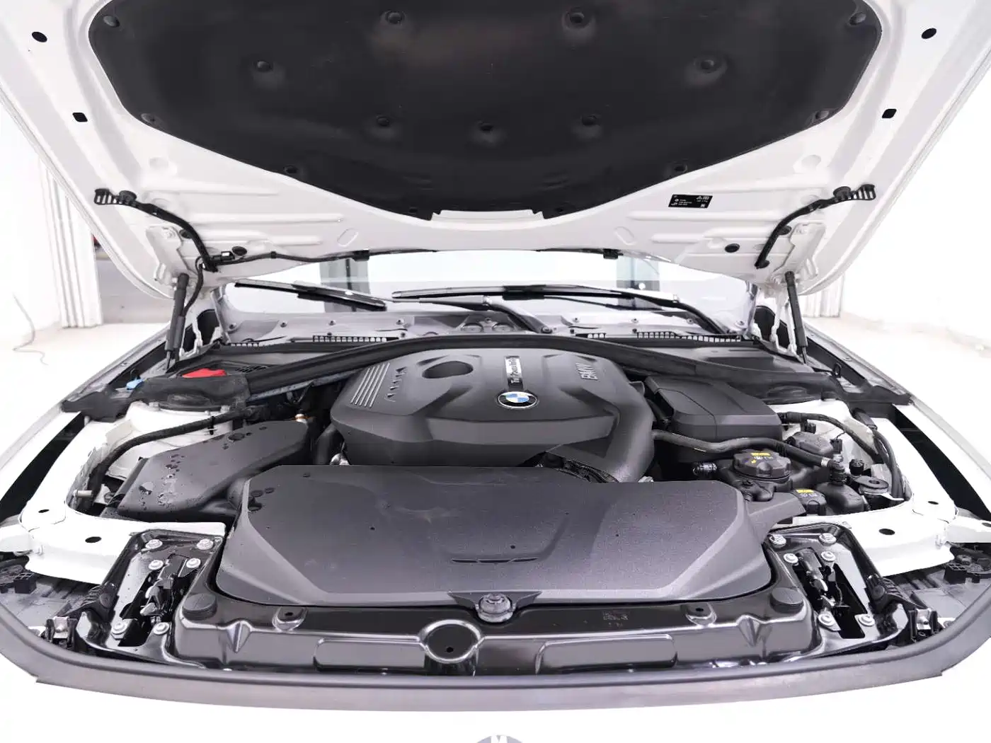 BMW 3 Series 2019 320Li Fashion Type фото 15