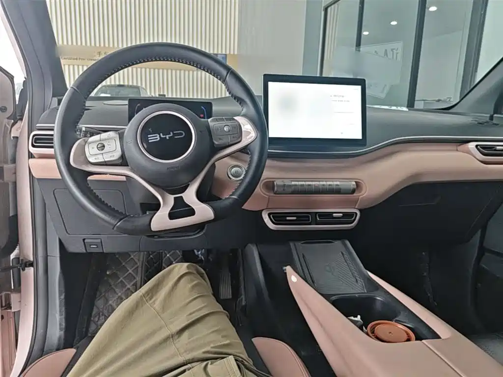 BYD Seagull 2024 Glory Edition 305km Freedom Edition фото 10