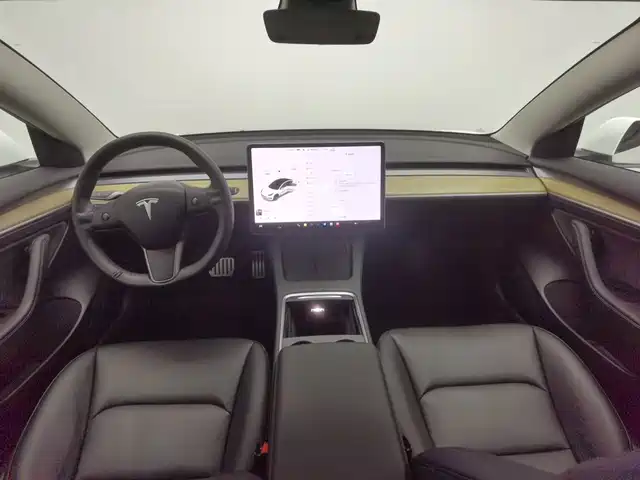 Tesla Model 3 2021 Performance High-Performance All-Wheel Drive — фото 5