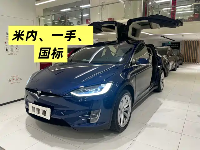 Tesla Model X 2017 Model X 100D Long Range