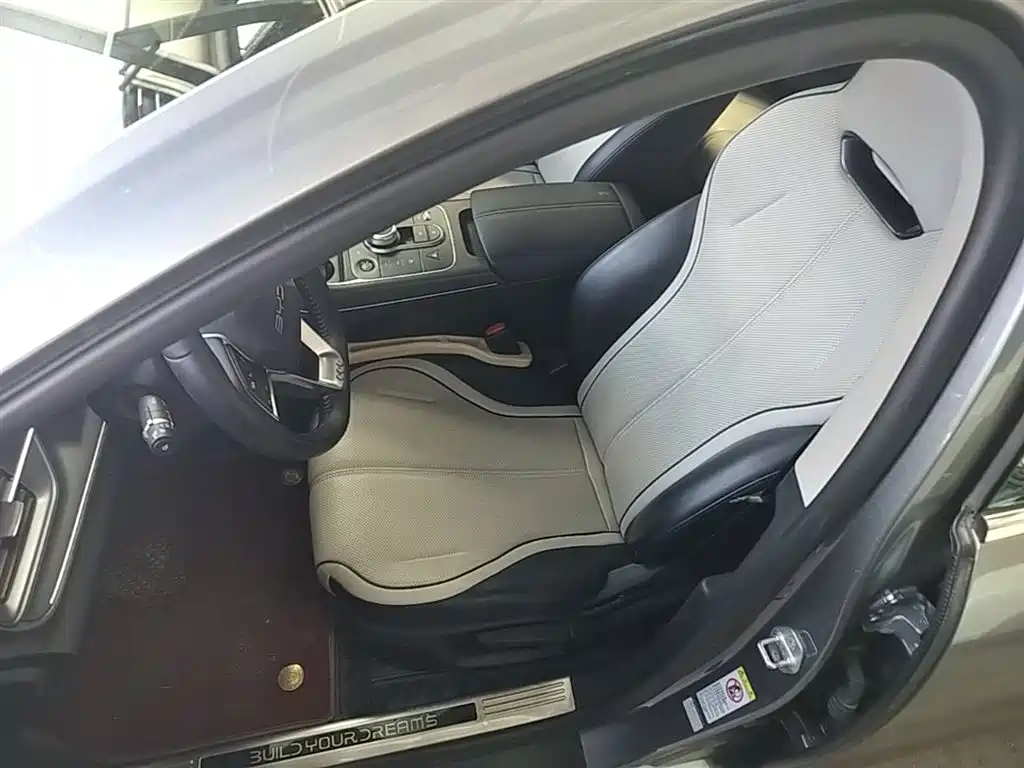 BYD Destroyer 05 2024 Glory Edition DM-i 55KM Luxury фото 15