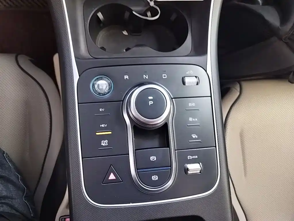 BYD Destroyer 05 2024 Glory Edition DM-i 55KM Luxury фото 14