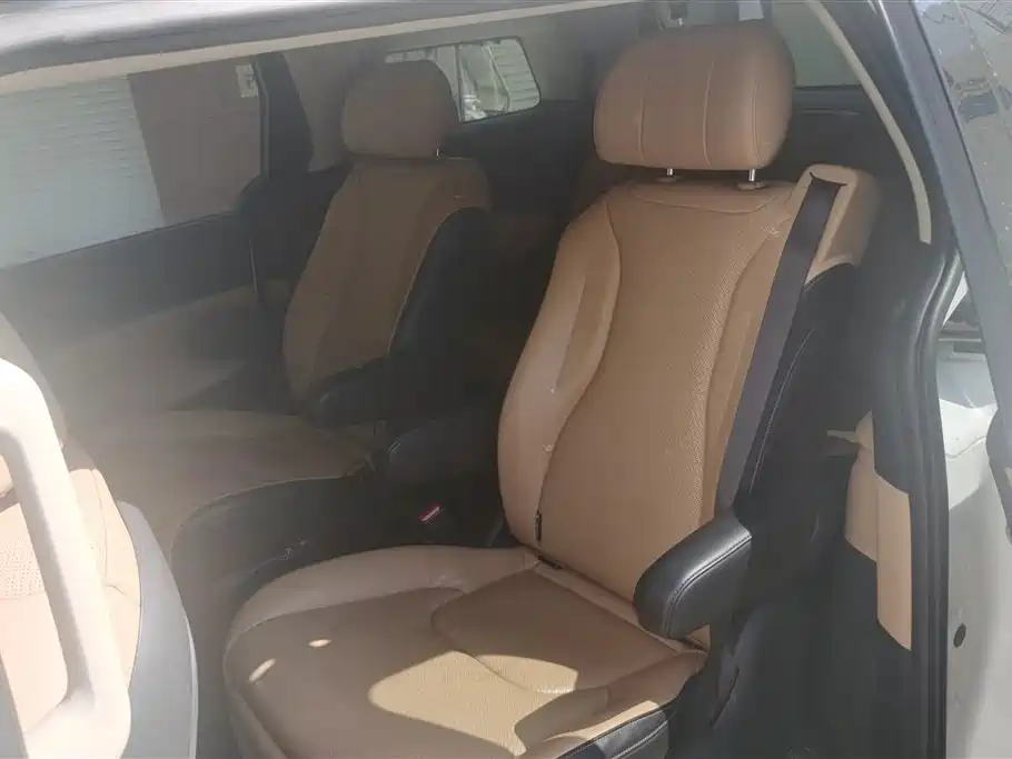Kia Carnival 2021 2.0T Flagship Edition фото 11