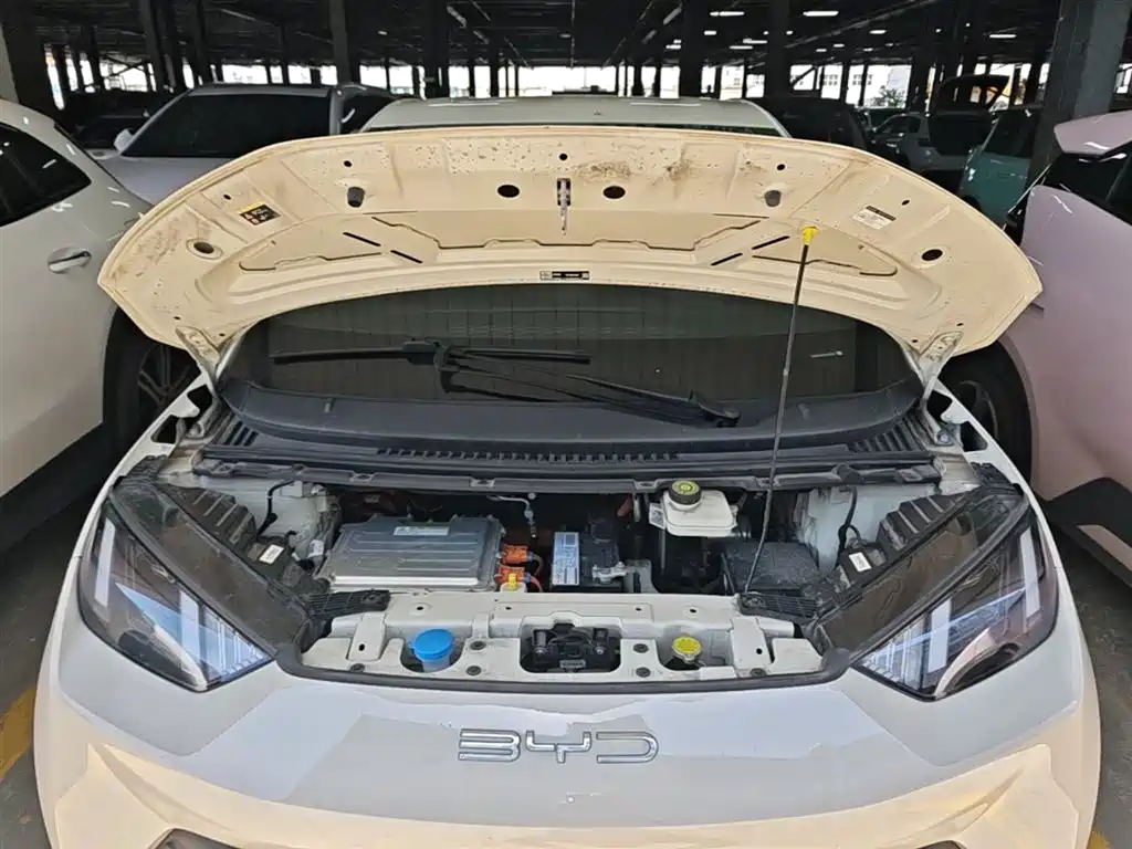 BYD Seagull 2023 Freedom Edition фото 20