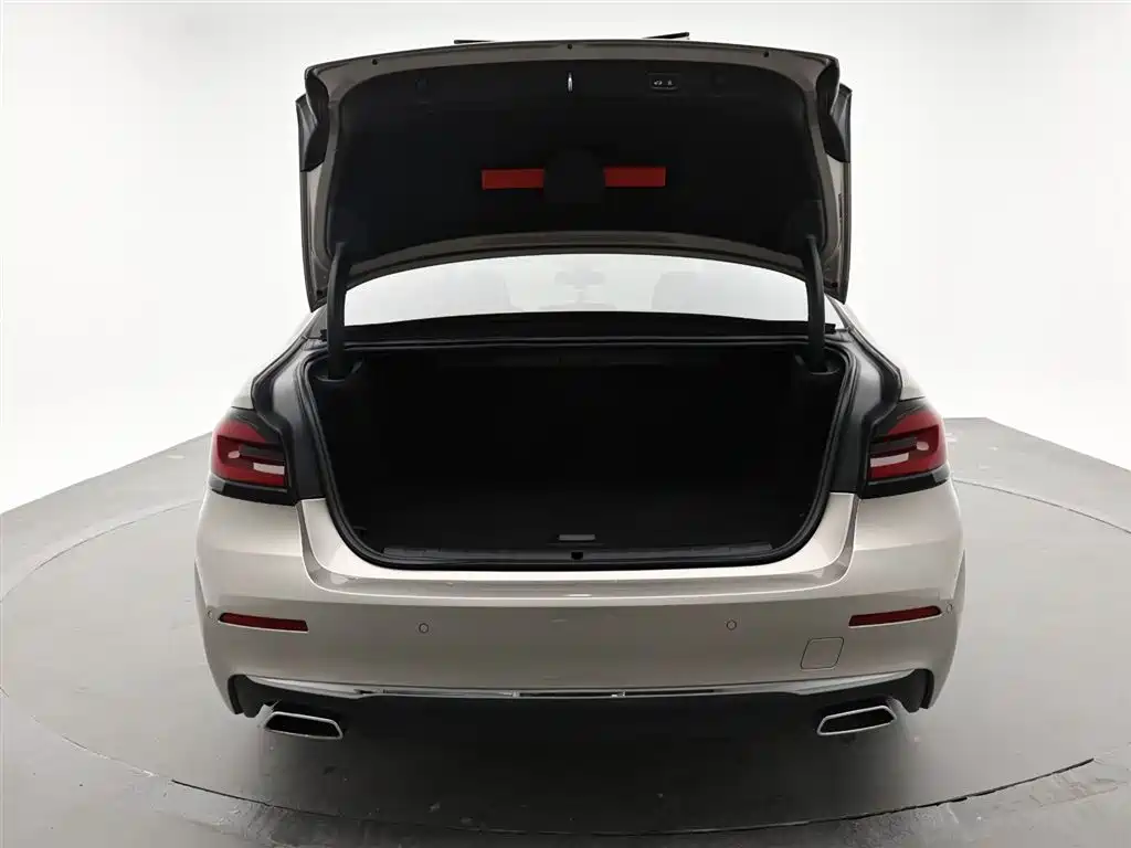 BMW 5 Series New Energy 2021 535Le Luxury Package фото 9