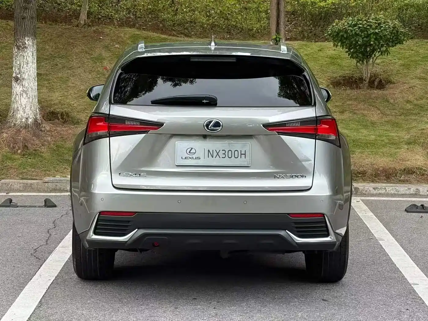 Photo 8 - Lexus NX