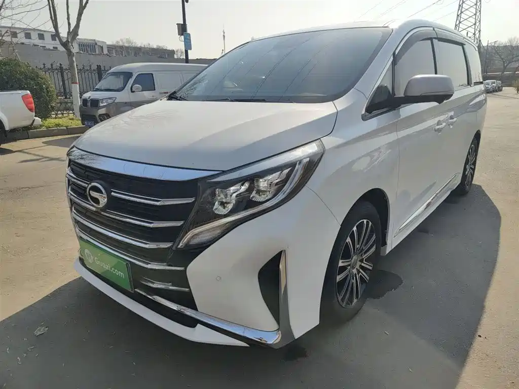 GAC Trumpchi Trumpchi M8 2021 Leading Show Series 390T Ultimate Edition фото 2